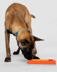 Pawzler Build Your Own Puzzle - Zhu Pawzle
