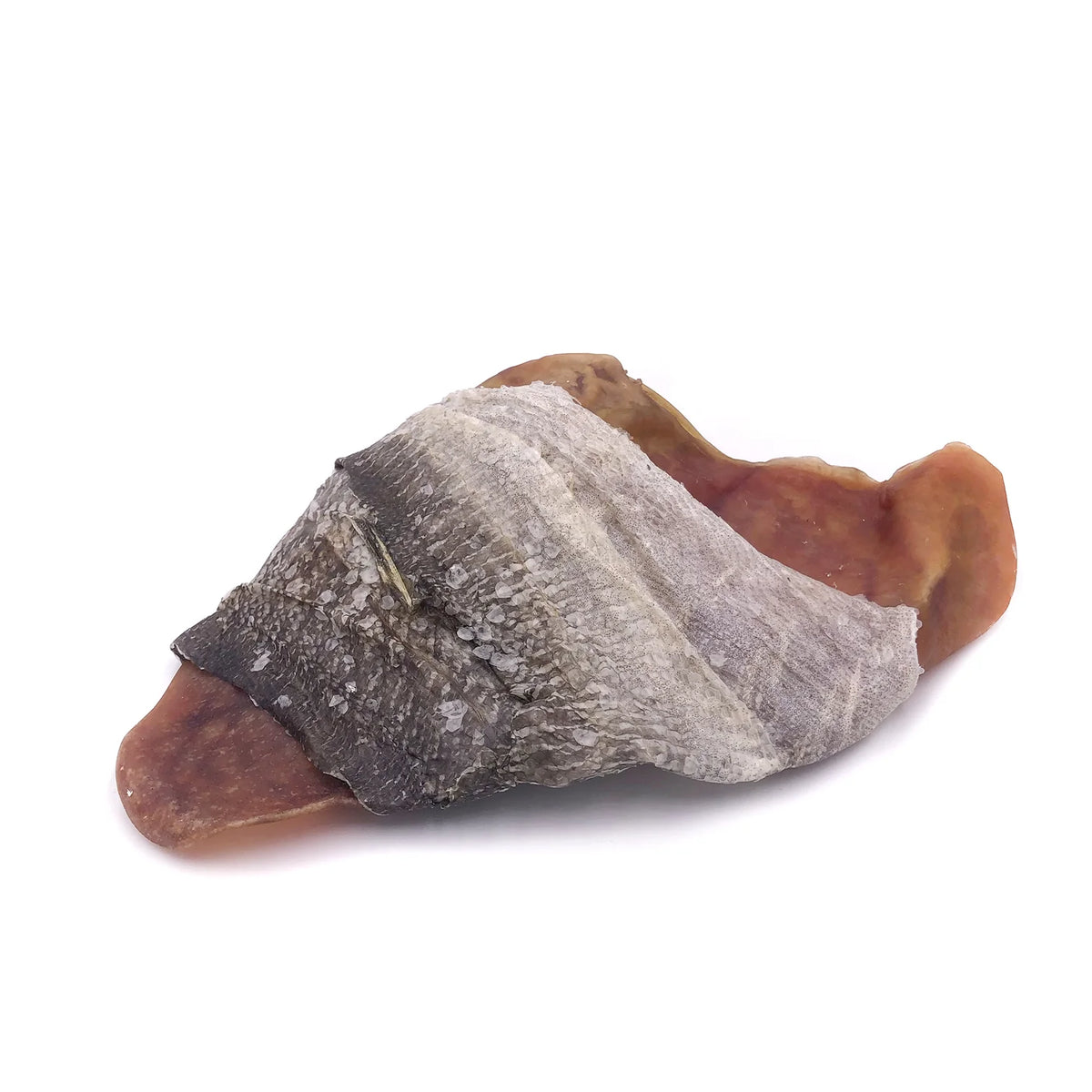 Icelandic Fish Ear Cod Skin Wrapped Pig Ear Dog Treat