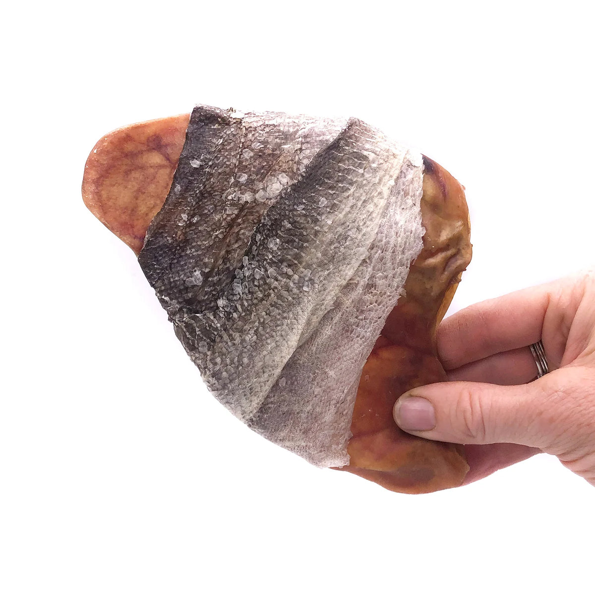 Icelandic Fish Ear Cod Skin Wrapped Pig Ear Dog Treat