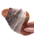 Icelandic Fish Ear Cod Skin Wrapped Pig Ear Dog Treat