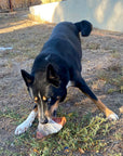 Icelandic Fish Ear Cod Skin Wrapped Pig Ear Dog Treat