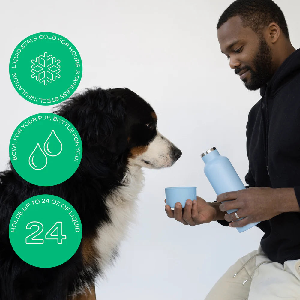 Springland Dog &amp; Me Insulated Water Bottle