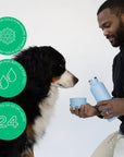 Springland Dog & Me Insulated Water Bottle