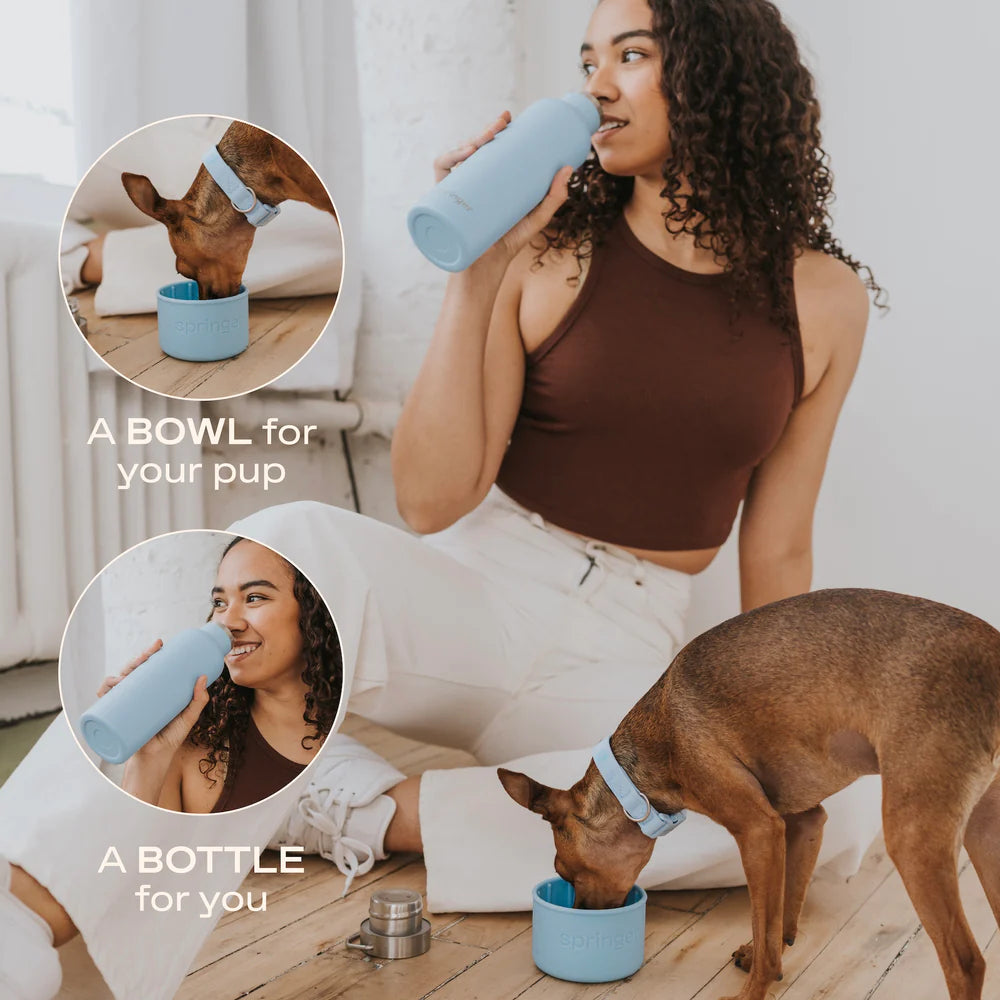 Springland Dog &amp; Me Insulated Water Bottle