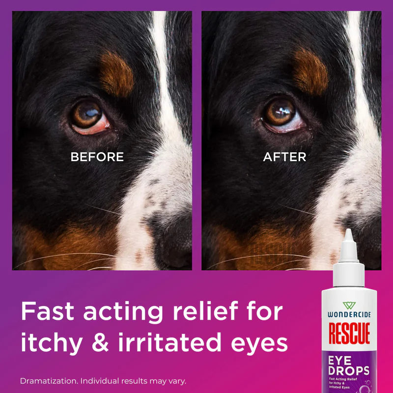 Wondercide RESCUE™ Eye Drops for Dogs &amp; Cats