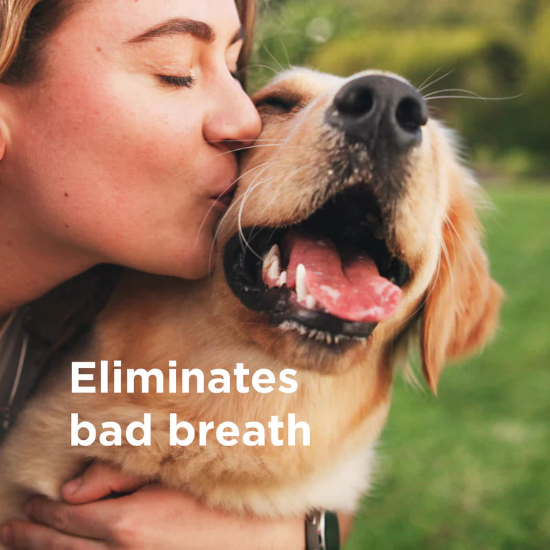 Wondercide RESCUE™ Oral Spray for Dogs &amp; Cats