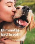 Wondercide RESCUE™ Oral Spray for Dogs & Cats