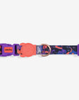 Zee.Dog x Reebok Court | Collar
