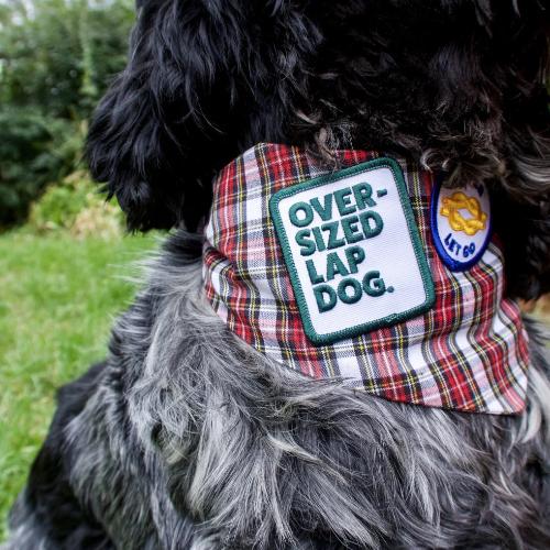 Scout's Honour - Oversized Lap Dog iron-on patch for dogs