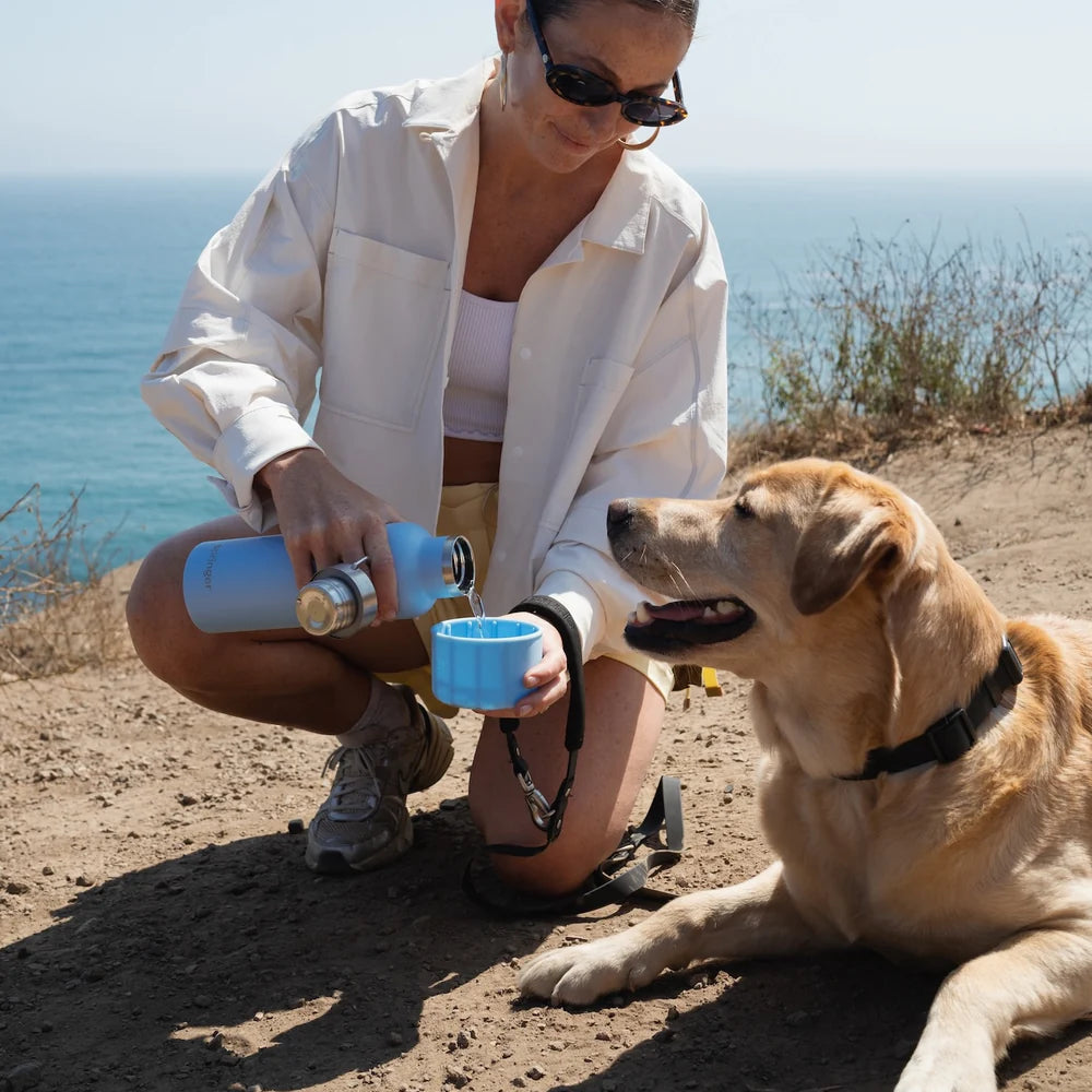Springland Dog &amp; Me Insulated Water Bottle