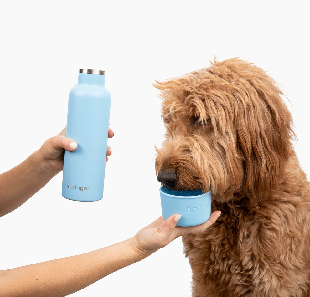 Springland Dog &amp; Me Insulated Water Bottle