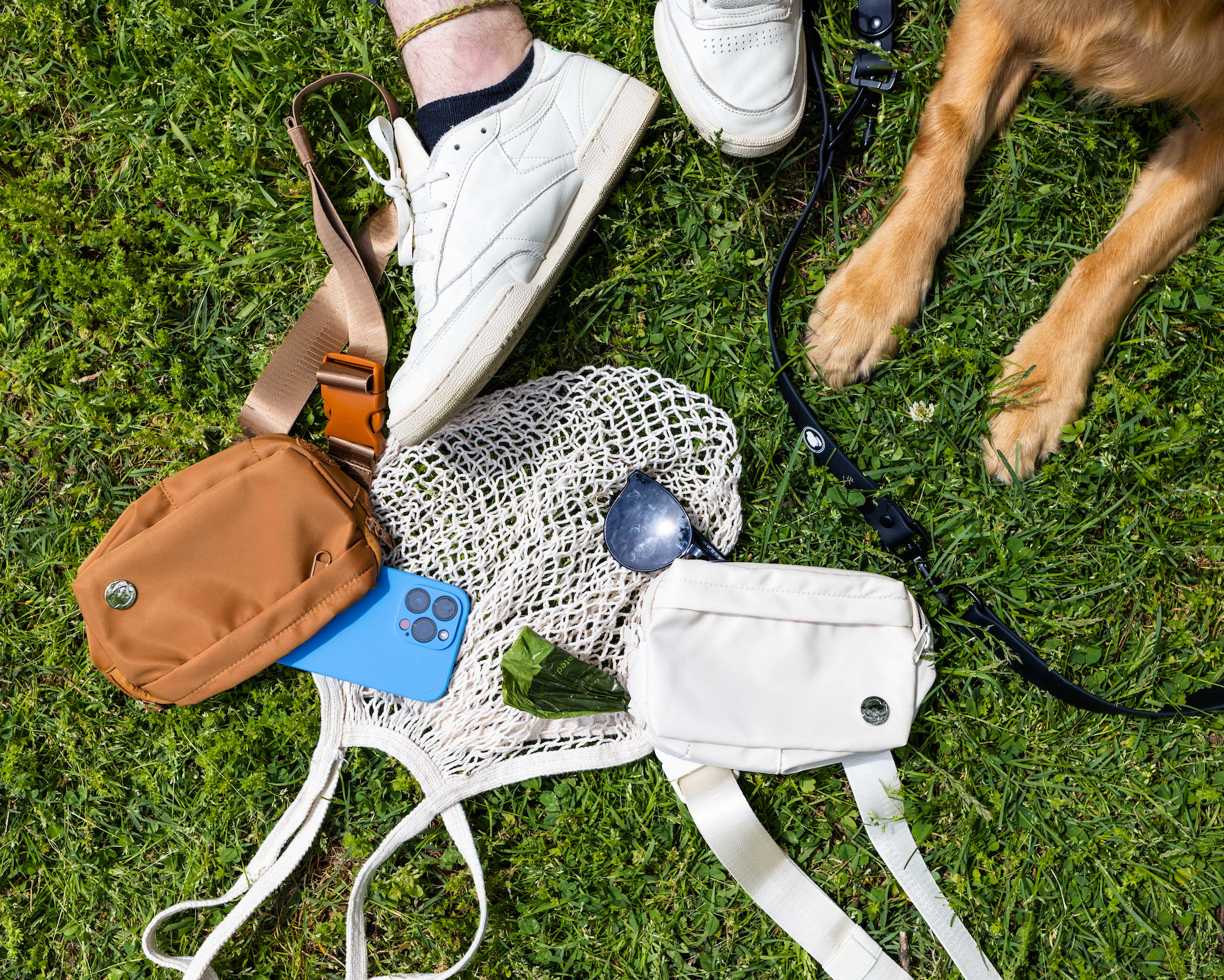 Monochrome Belt Bag with Discrete Poop Bag Dispenser