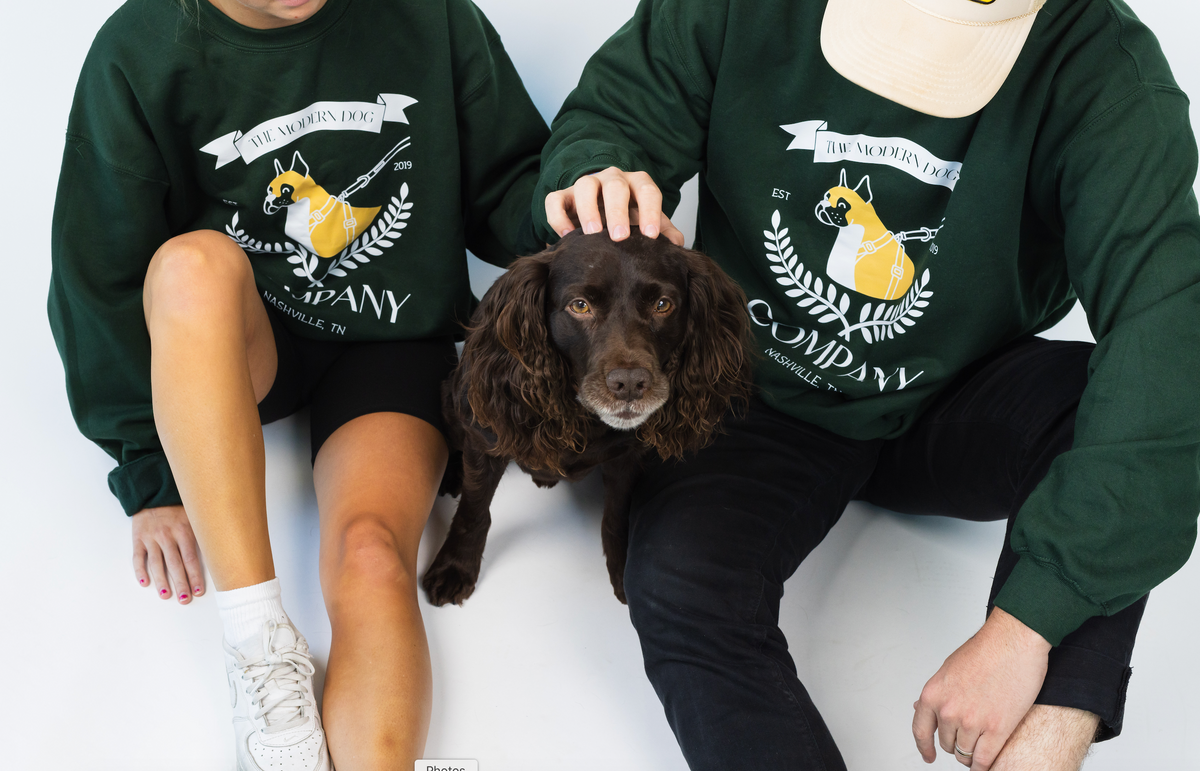 New The Modern Dog Company Store