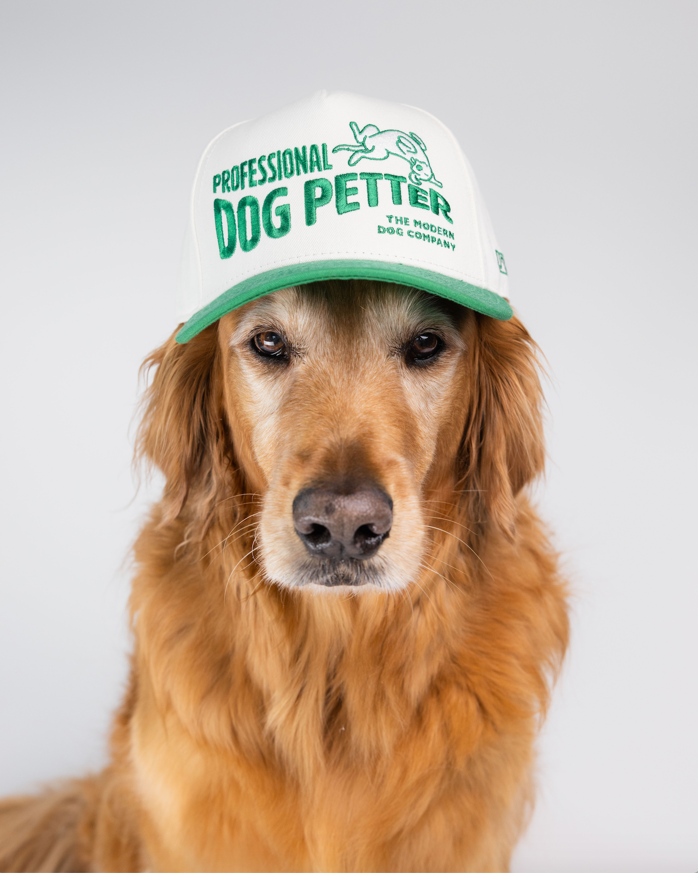 Professional Dog Petter Hat - Two Toned