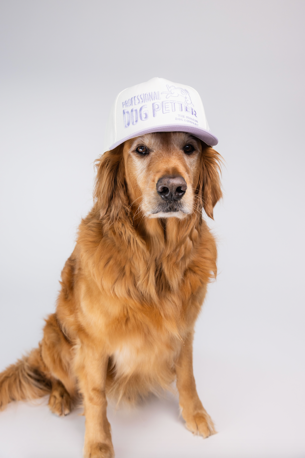 Professional Dog Petter Hat - Two Toned