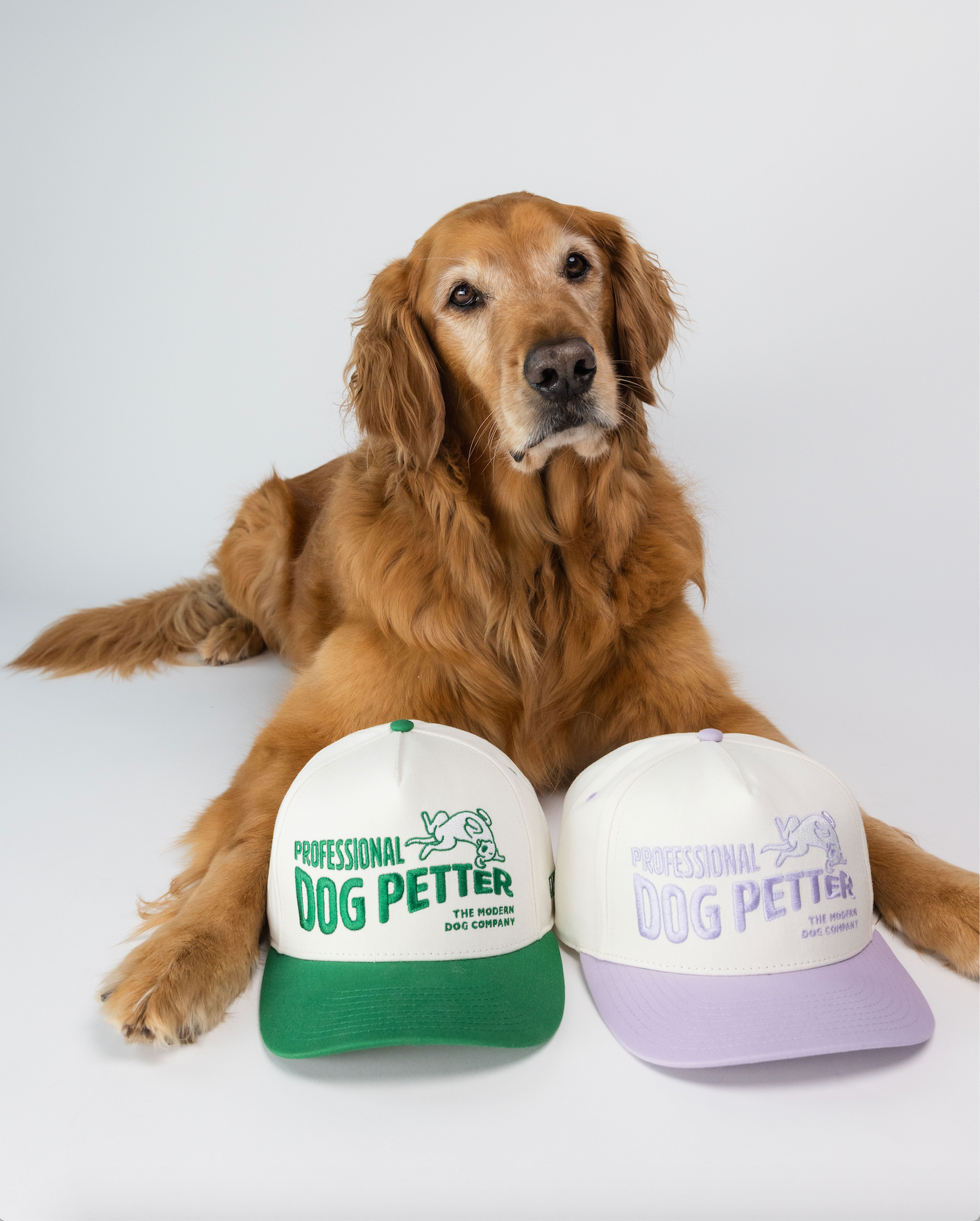 Professional Dog Petter Hat - Two Toned