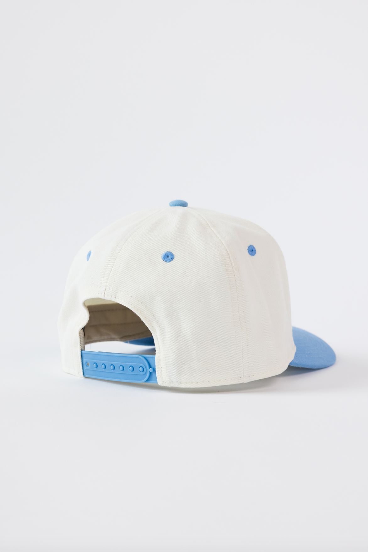 Professional Dog Petter Hat - Two Toned