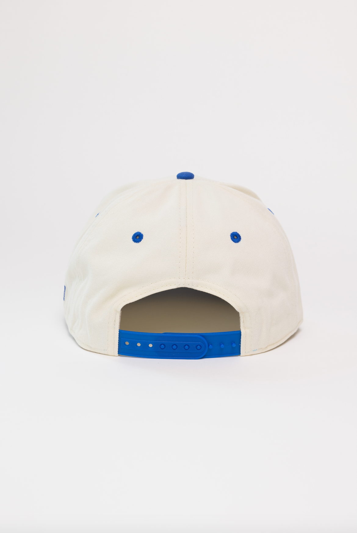 Professional Dog Petter Hat - Two Toned