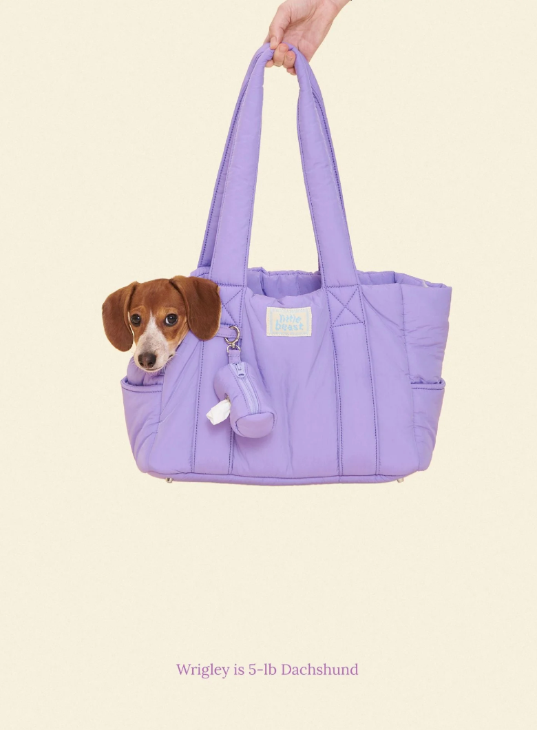 Little Beast - The Little Beast Carrier - Mini Carrier Ube