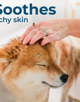Wondercide Flea & Tick Shampoo for Dogs + Cats with Natural Essential Oils
