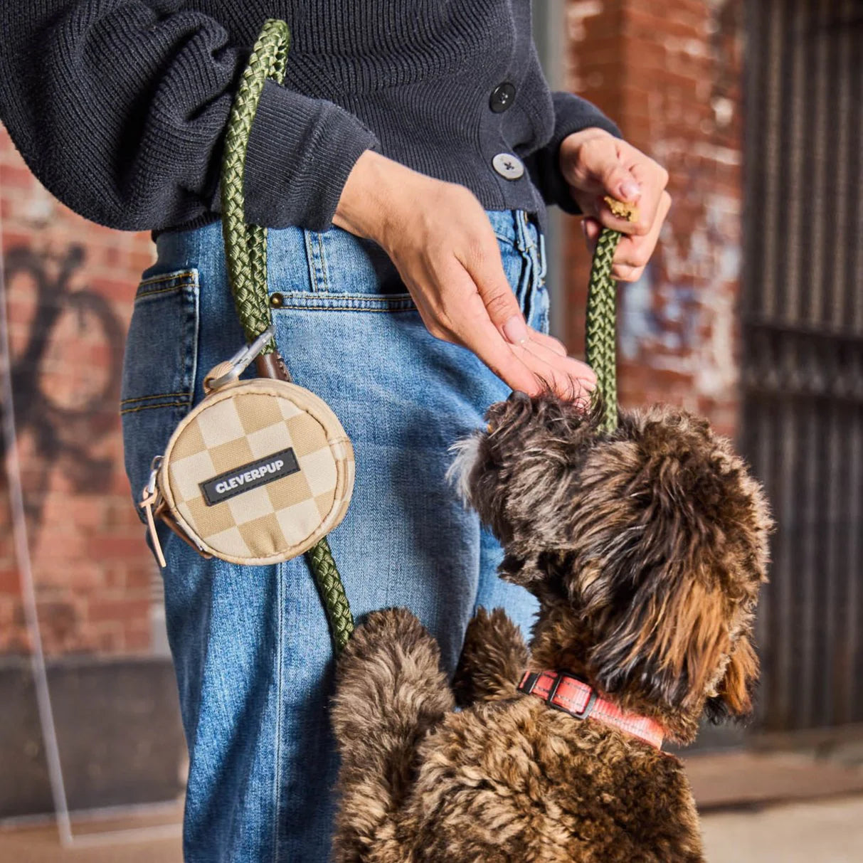 Clever Pup Snackpack Double Insulated Dog Treat Pouch