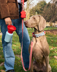 Springland - Limited-Edition Spring/Summer 2026 Walk Collection