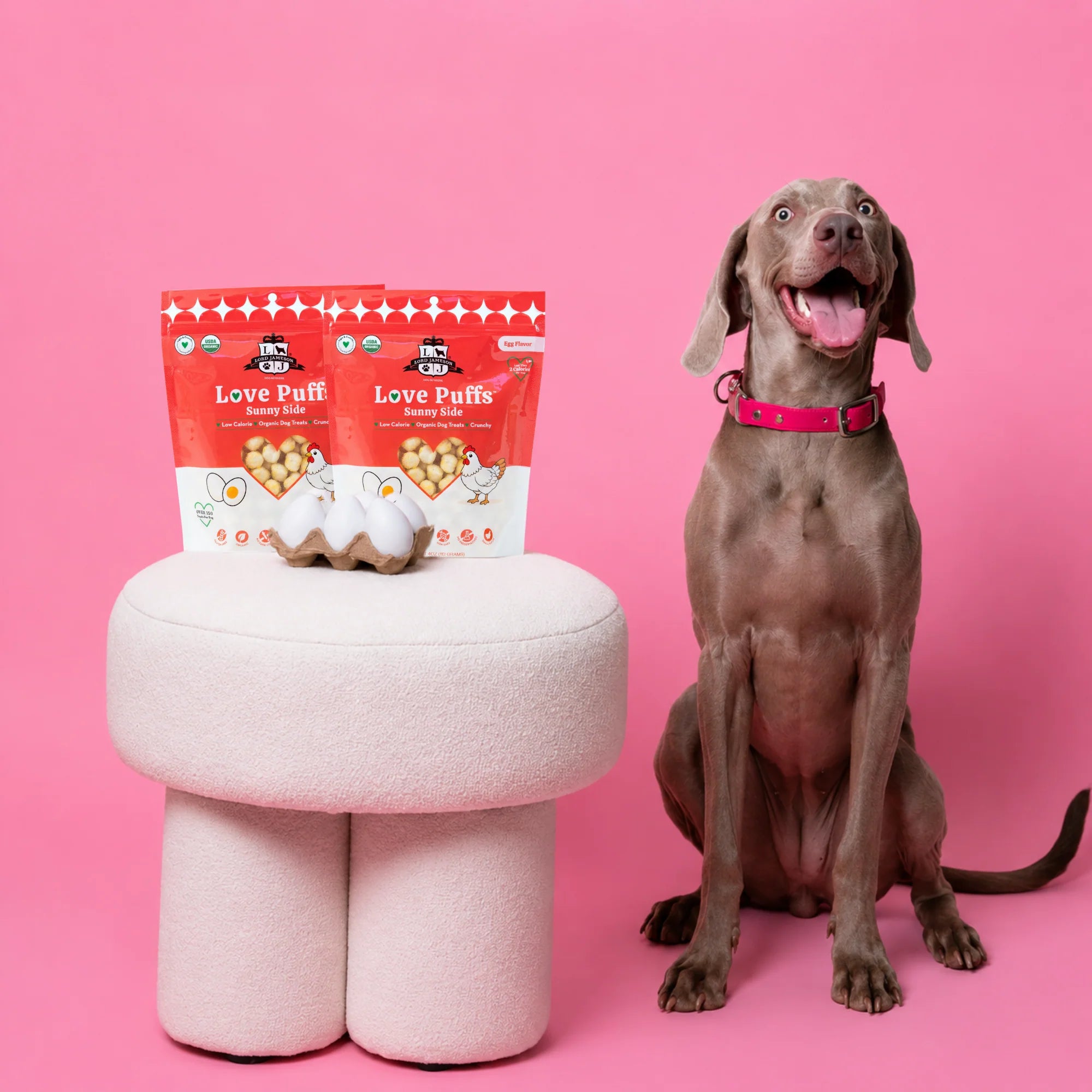 Lord Jameson Sunny Side Love Puffs Organic Dog Treats