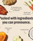 The Honest Kitchen Grain Free Salmon & Whitefish Whole Food Clusters