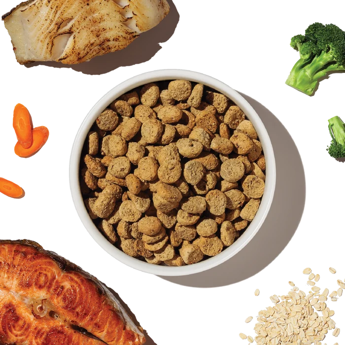 The Honest Kitchen Whole Grain Salmon &amp; Whitefish Whole Food Clusters