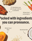 The Honest Kitchen Whole Grain Salmon & Whitefish Whole Food Clusters