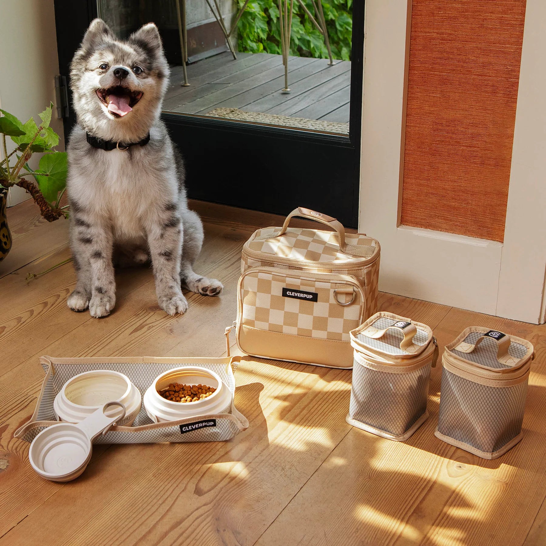 Clever Pup Bistro Box Dog Food Travel Kit