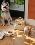 Clever Pup Bistro Box Dog Food Travel Kit