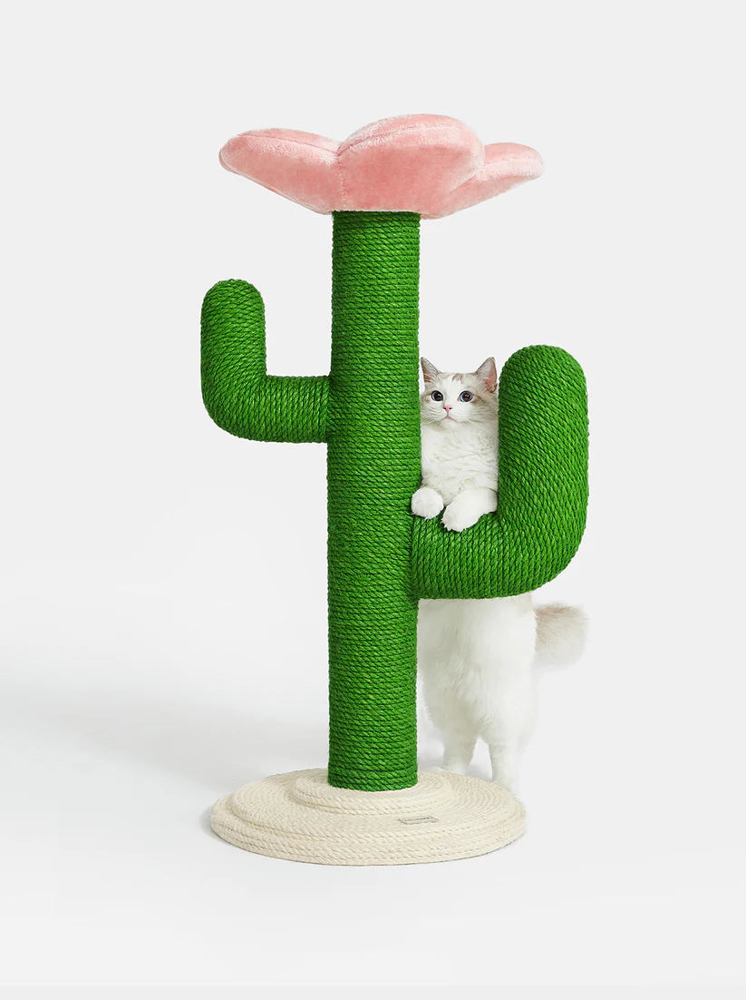 Vetreska Blooming Cactus Cat Tree