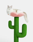 Vetreska Blooming Cactus Cat Tree