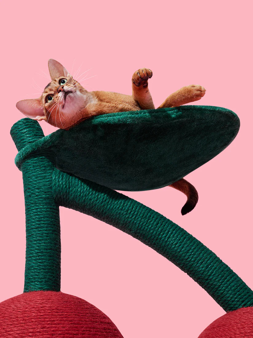 Vetreska Cherry Cat Tree