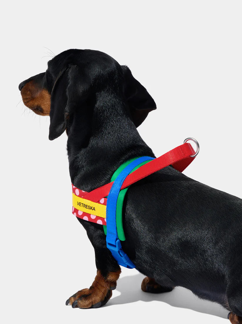 Vetreska Red Chroma Quick Fit Harness &amp; Leash Set