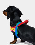 Vetreska Red Chroma Quick Fit Harness & Leash Set