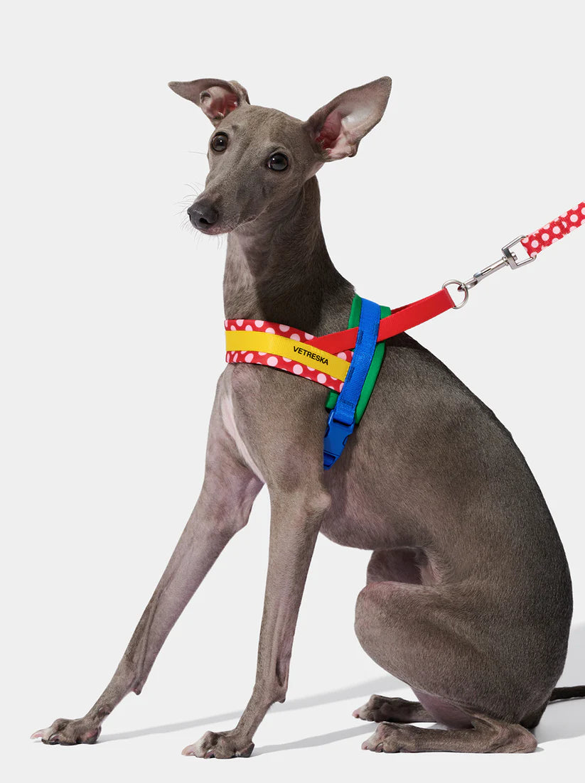 Vetreska Red Chroma Quick Fit Harness &amp; Leash Set