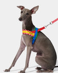 Vetreska Red Chroma Quick Fit Harness & Leash Set