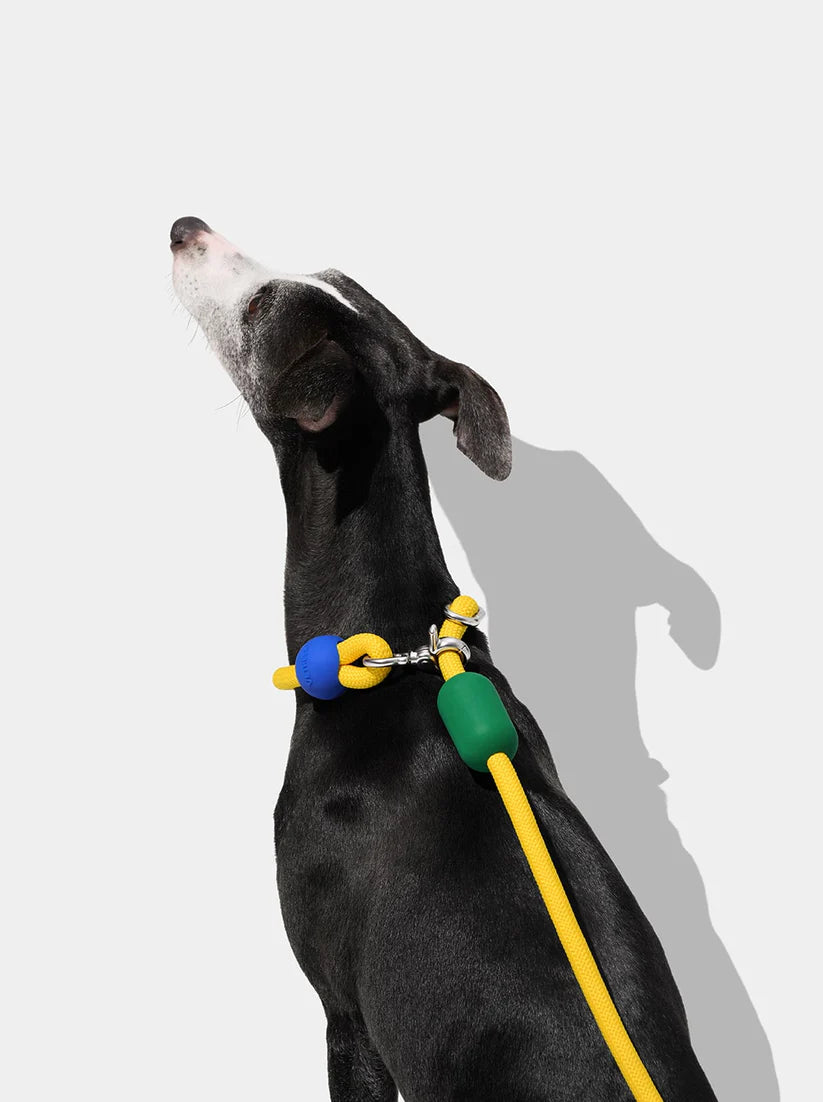 Vetreska Connect Hands-Free Rope Leash - Chroma
