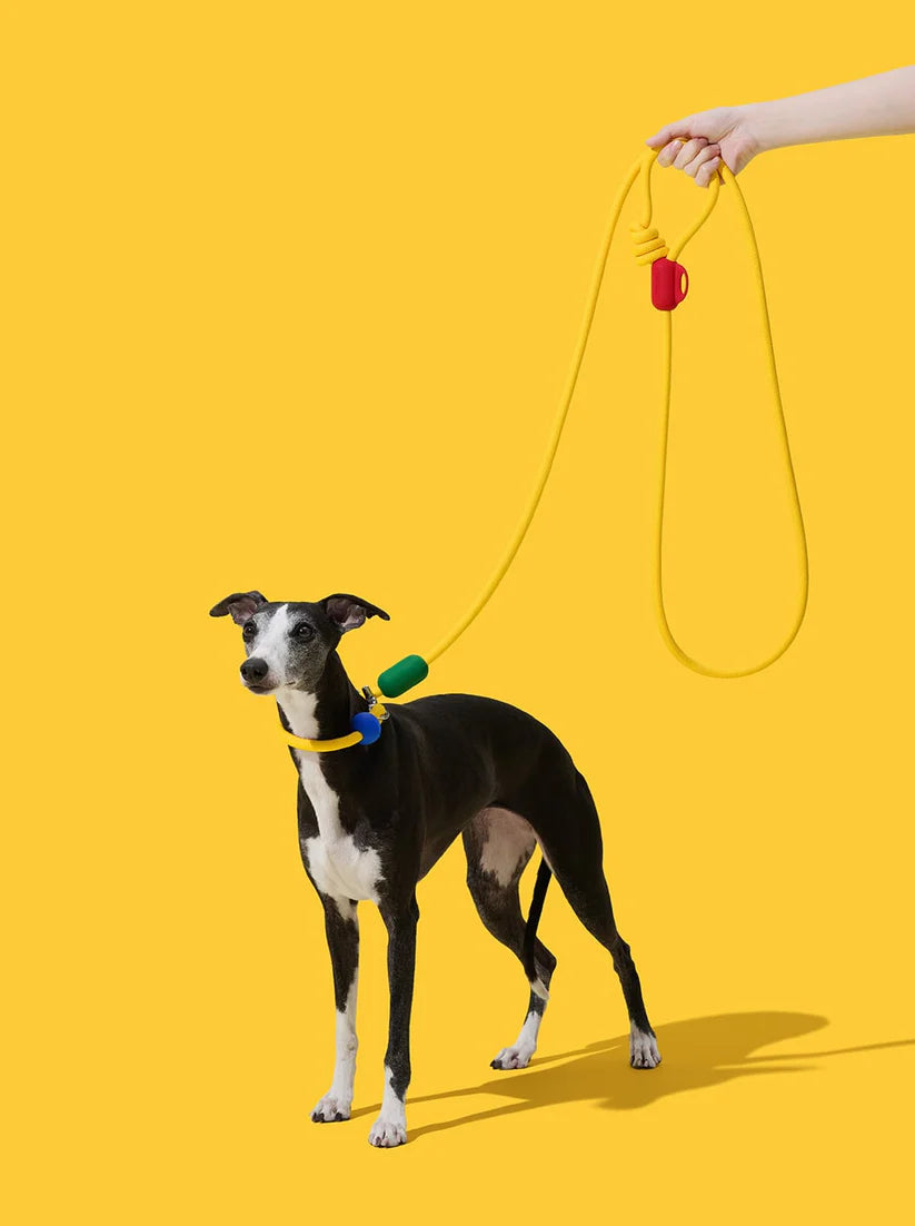 Vetreska Connect Hands-Free Rope Leash - Chroma