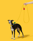 Vetreska Connect Hands-Free Rope Leash - Chroma