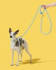 Vetreska Connect Hands-Free Rope Leash - Daisy