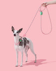 Vetreska Connect Hands-Free Rope Leash - Flora