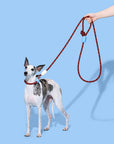 Vetreska Connect Hands-Free Rope Leash - Mist & Merlot