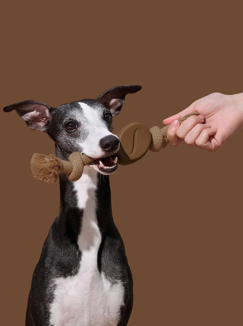 Vetreska Playful Charm Knot Rope Toy - Coffee