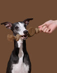 Vetreska Playful Charm Knot Rope Toy - Coffee