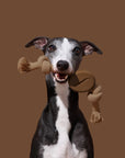 Vetreska Playful Charm Knot Rope Toy - Coffee