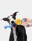 Vetreska Playful Charm Knot Rope Toy - Daisy