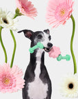 Vetreska Playful Charm Knot Rope Toy - Flora